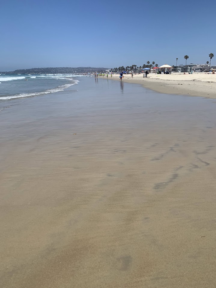 Surfers Running on Mission Beach