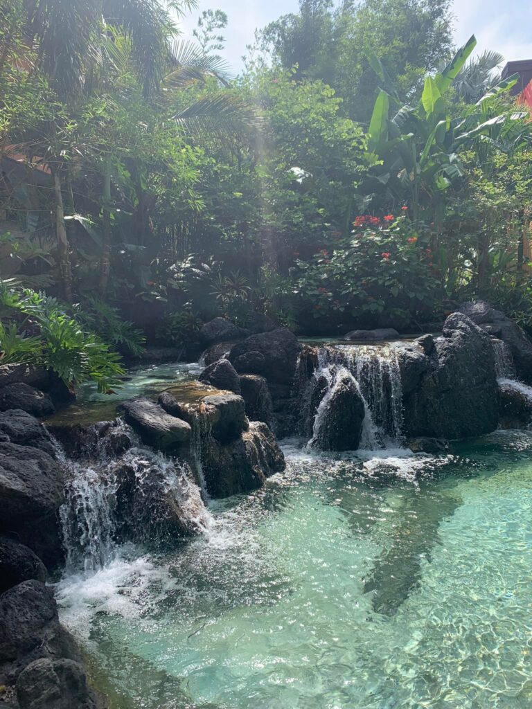 Waterfall area as you walk in 

Polynesian Village Resort review