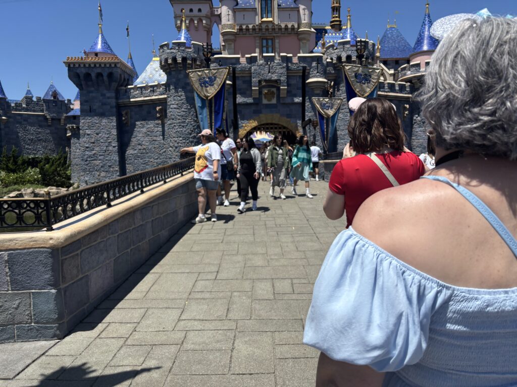 The Castle at Disneyland Guide to Disneyland