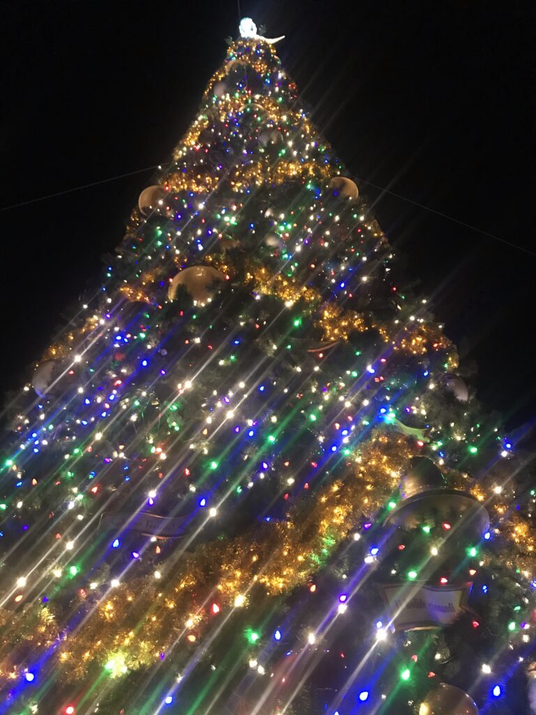 Christmas tree from down below at Hollywood Studios