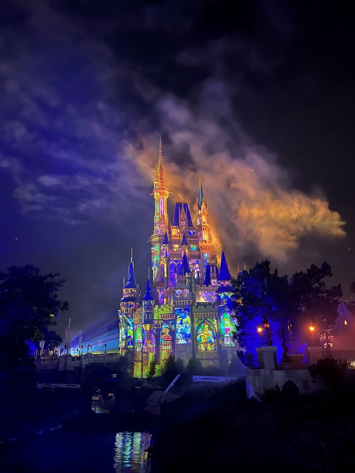 Cinderella's Castle with the design on them