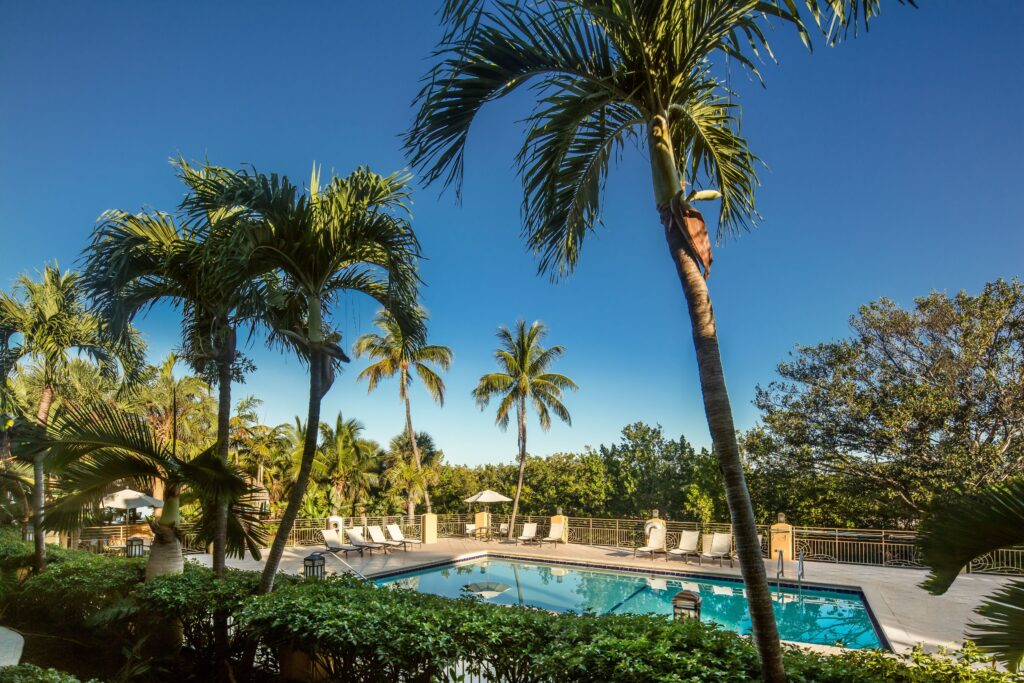 A pool with palm trees surrounding it