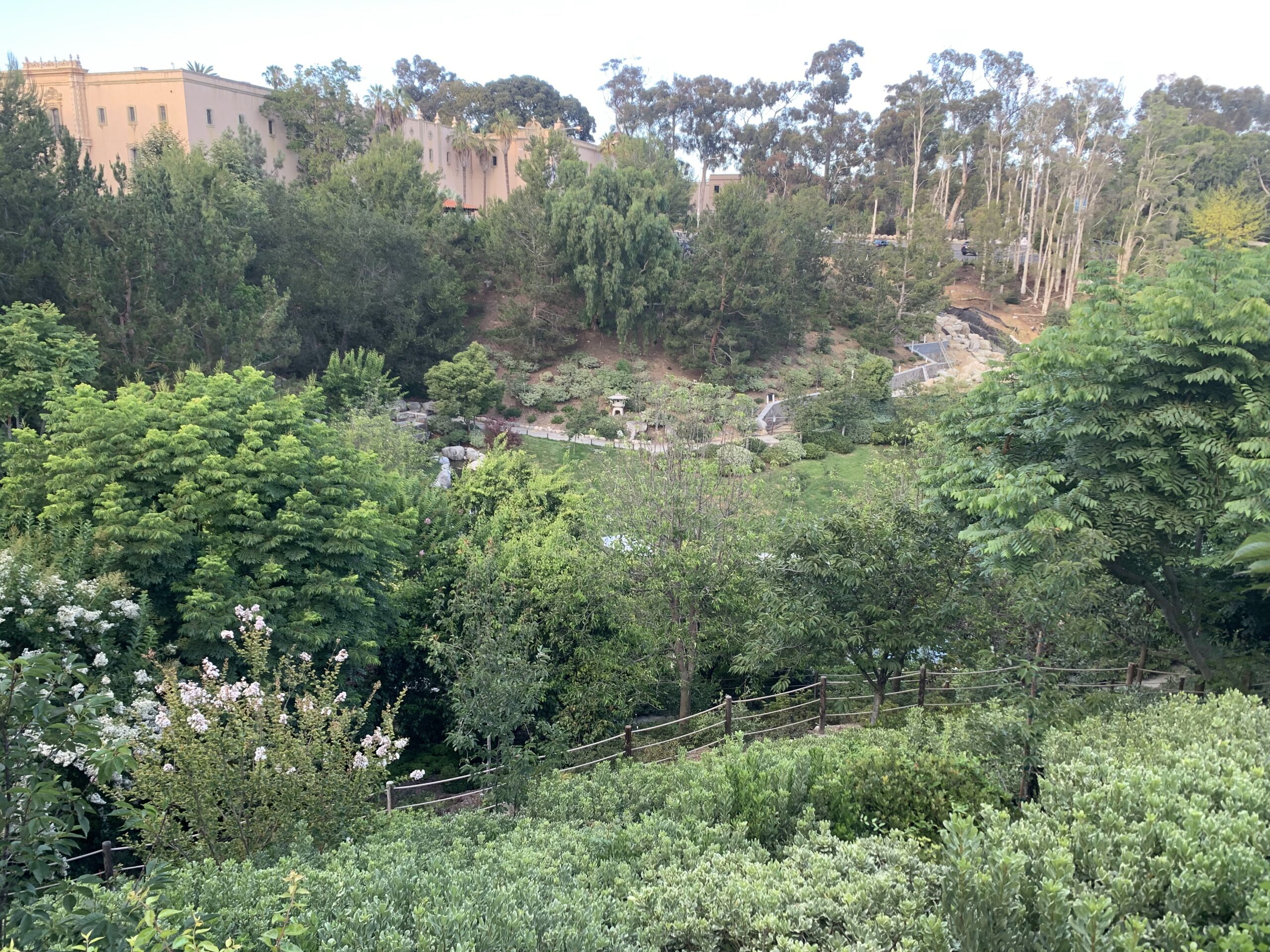 10 Great Things To Do at Balboa Park