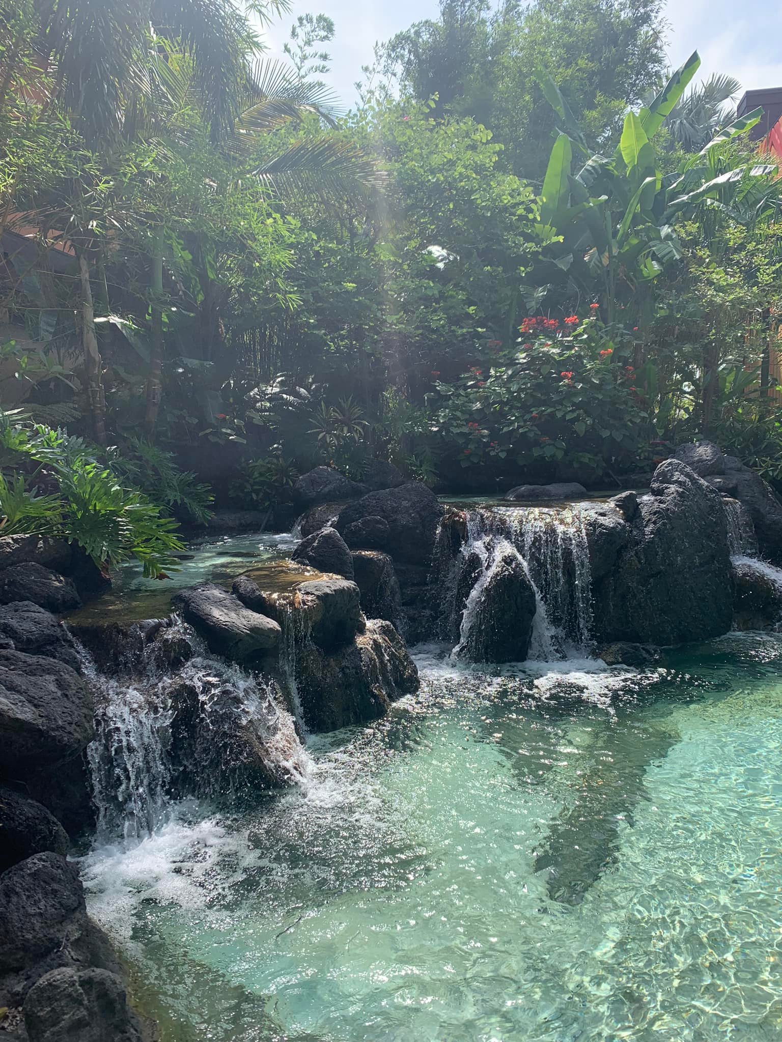 Waterfall area as you walk in Polynesian Village Resort review