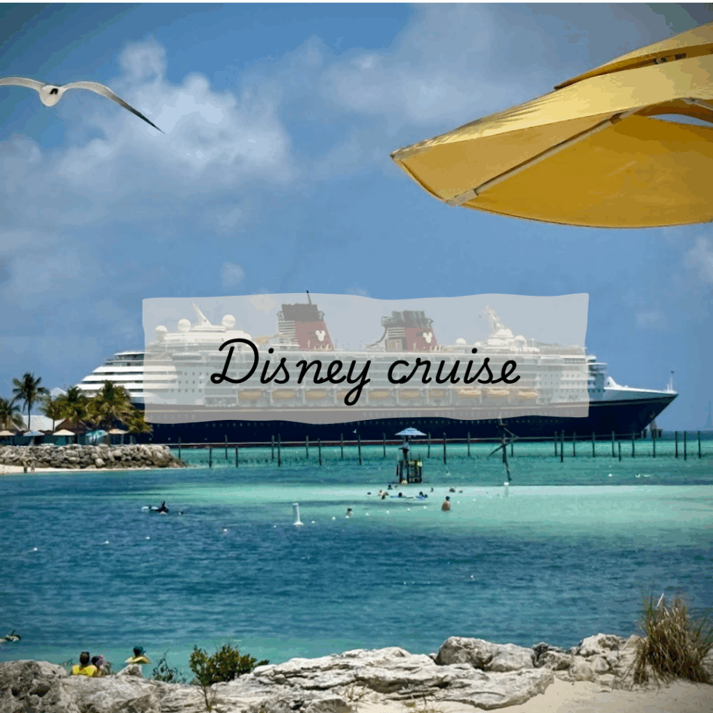 A picture of the Disney Wonder