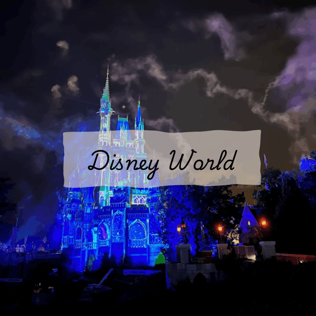 A picture of Disney World (Cinderella's Castle)