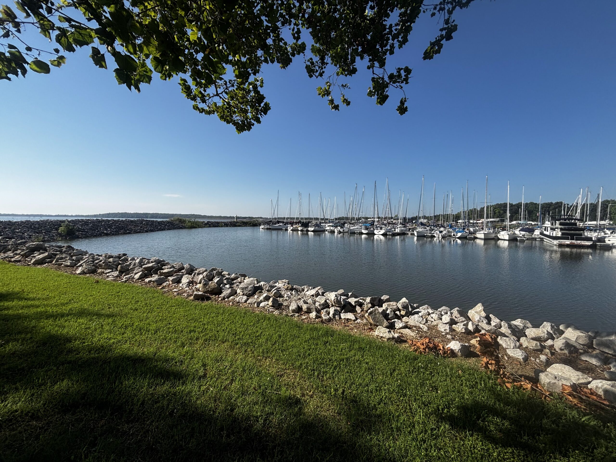 Don’t Visit Carlyle Lake Until You Read This Guide