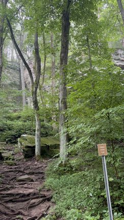The backside of Bork Falls